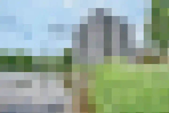 Bosboompad 27 Rosmalen thumbnail 25