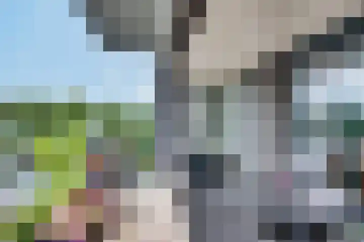 Bosboompad 27 Rosmalen thumbnail 9
