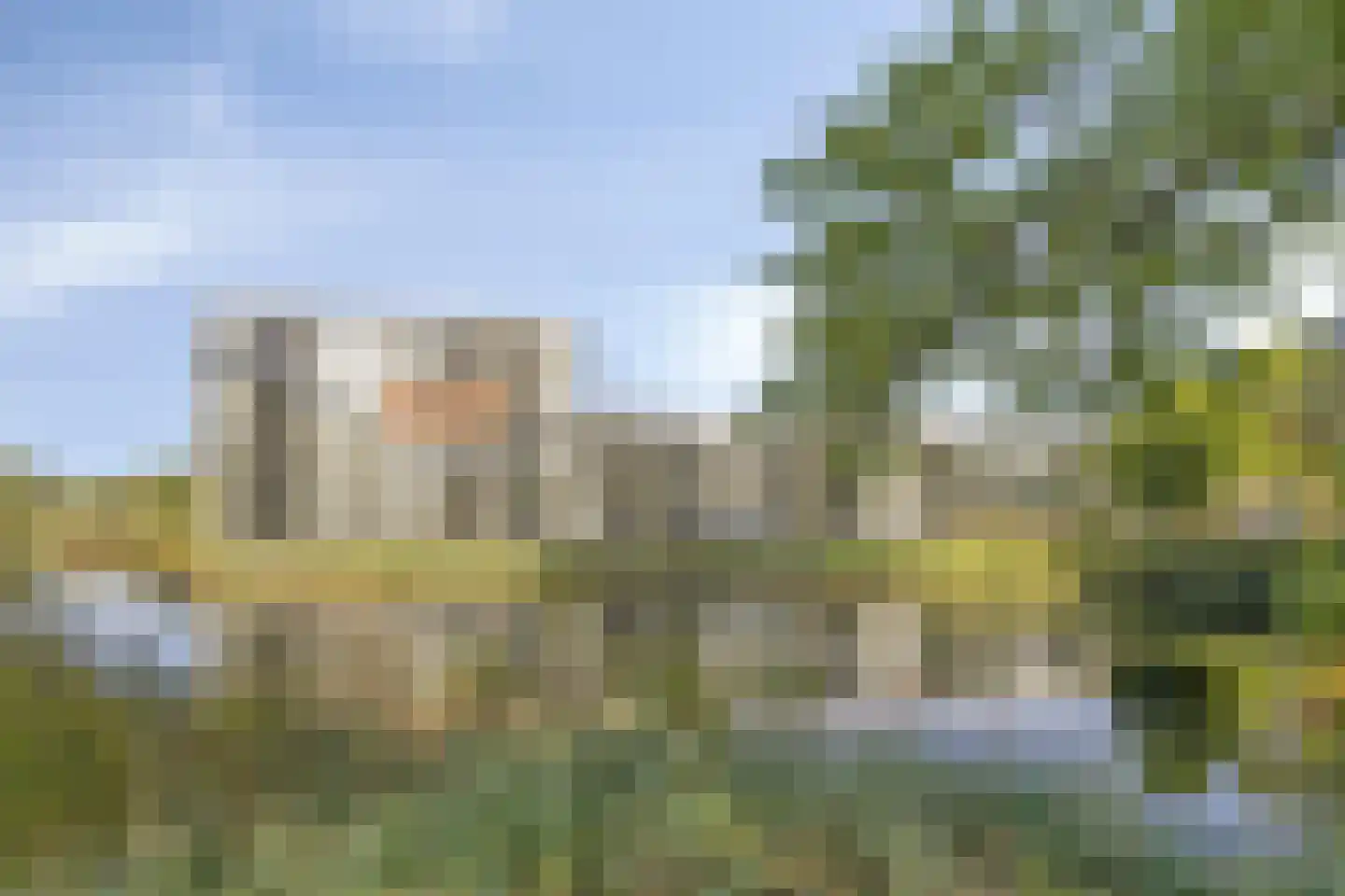 Bosboompad 38 in Rosmalen