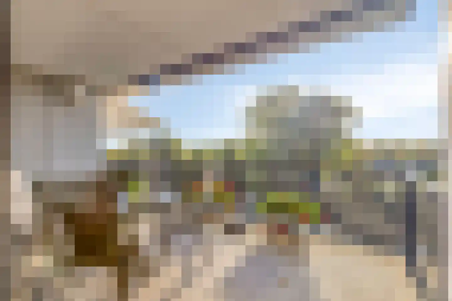 Bosboompad 38 Rosmalen thumbnail 21