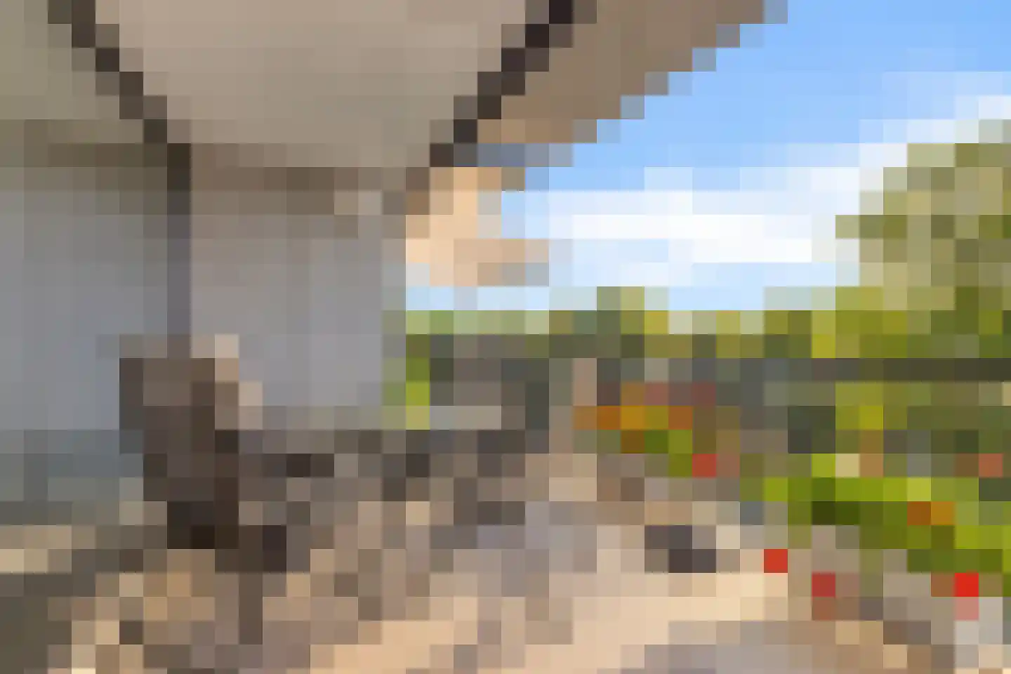 Bosboompad 38 Rosmalen thumbnail 22