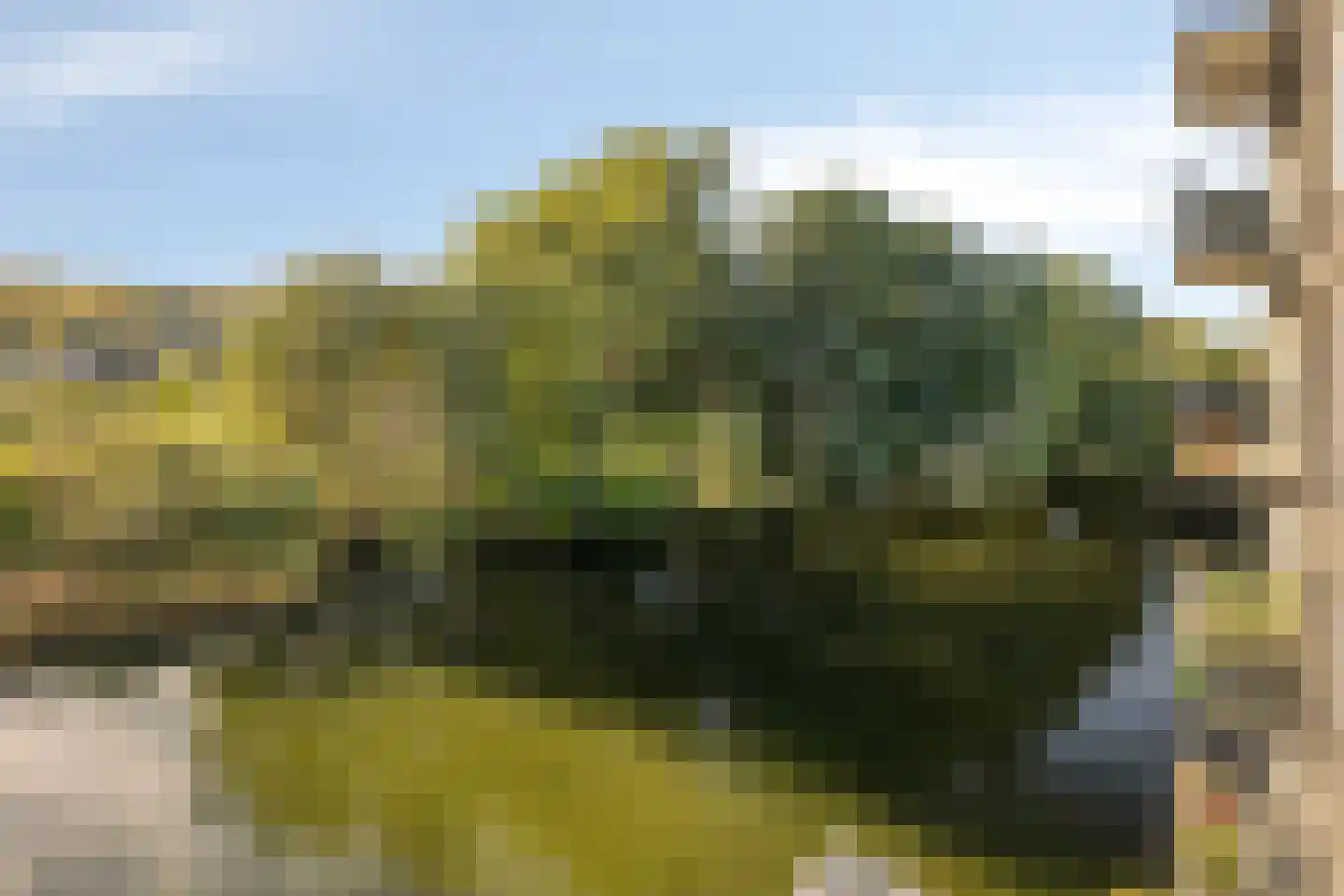 Bosboompad 38 Rosmalen thumbnail 24