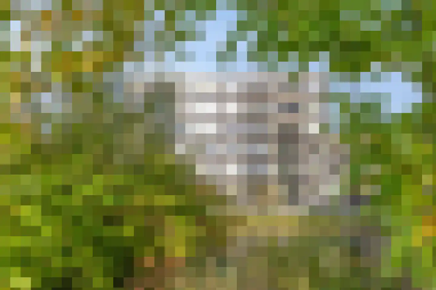 Bosboompad 38 Rosmalen thumbnail 37