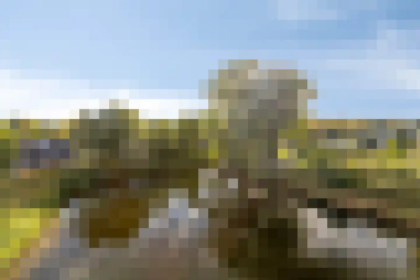 Bosboompad 38 Rosmalen thumbnail 4