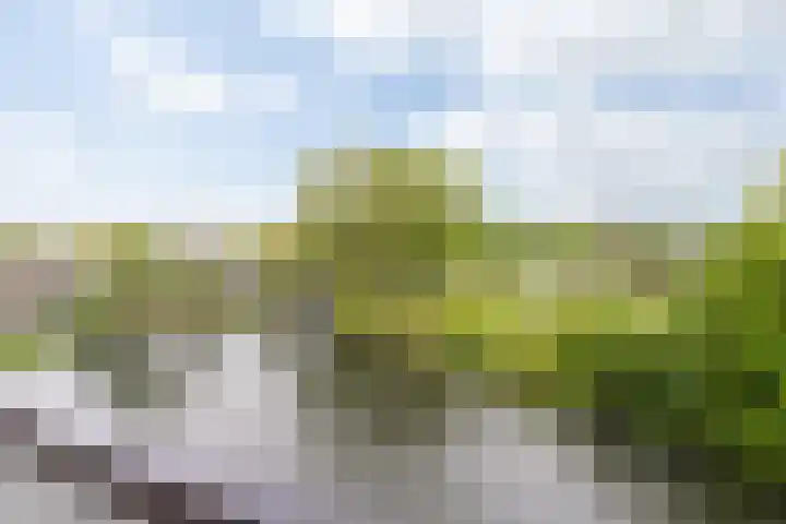 Bosboompad 44 Rosmalen thumbnail 10