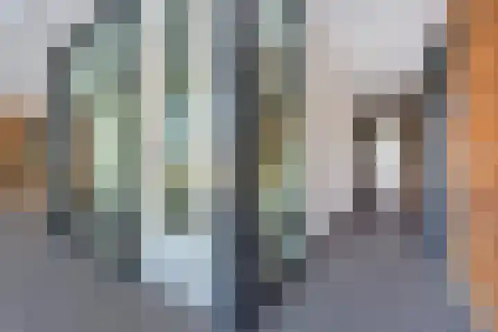 Bosboompad 44 Rosmalen thumbnail 24