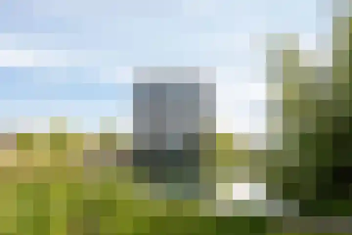 Bosboompad 44 Rosmalen thumbnail 29