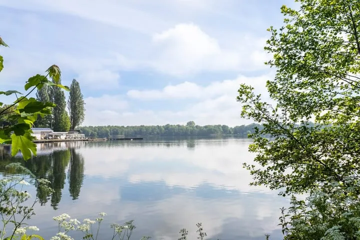 Bosboompad 44 Rosmalen thumbnail 30