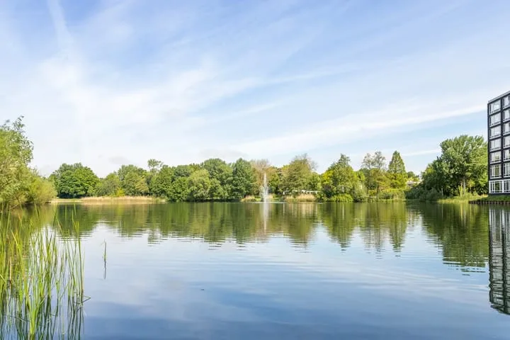 Bosboompad 44 Rosmalen thumbnail 31