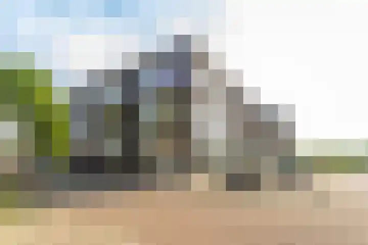 Bosboompad 44 Rosmalen thumbnail 32