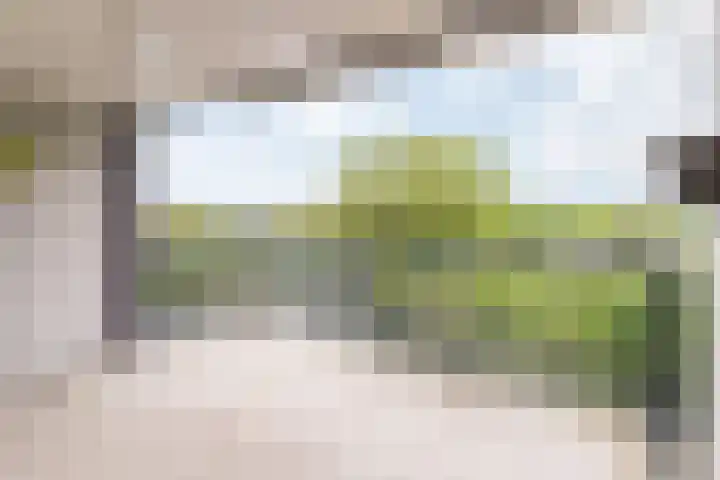 Bosboompad 44 Rosmalen thumbnail 9