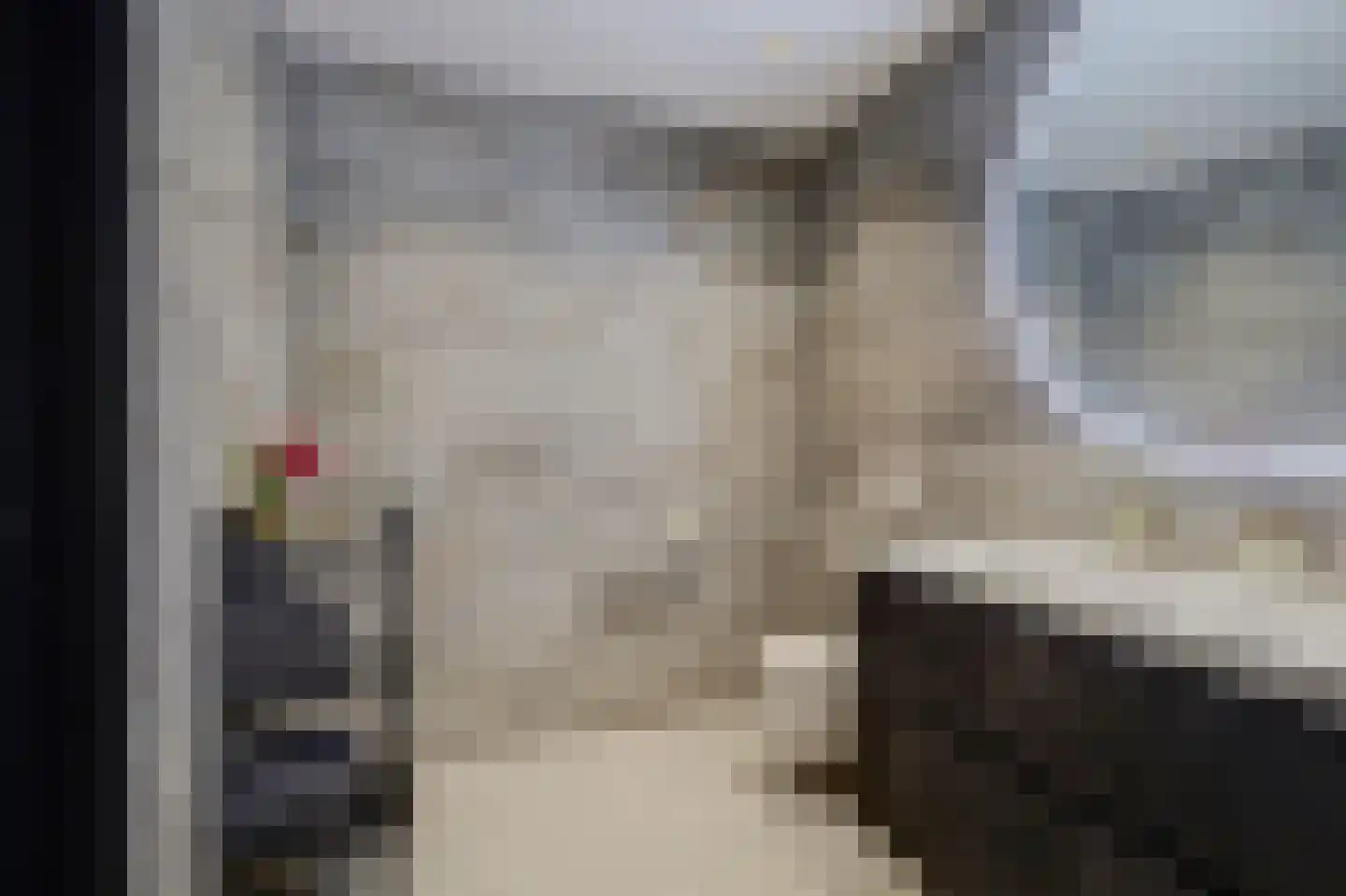 Bosboompad 53 Rosmalen thumbnail 23