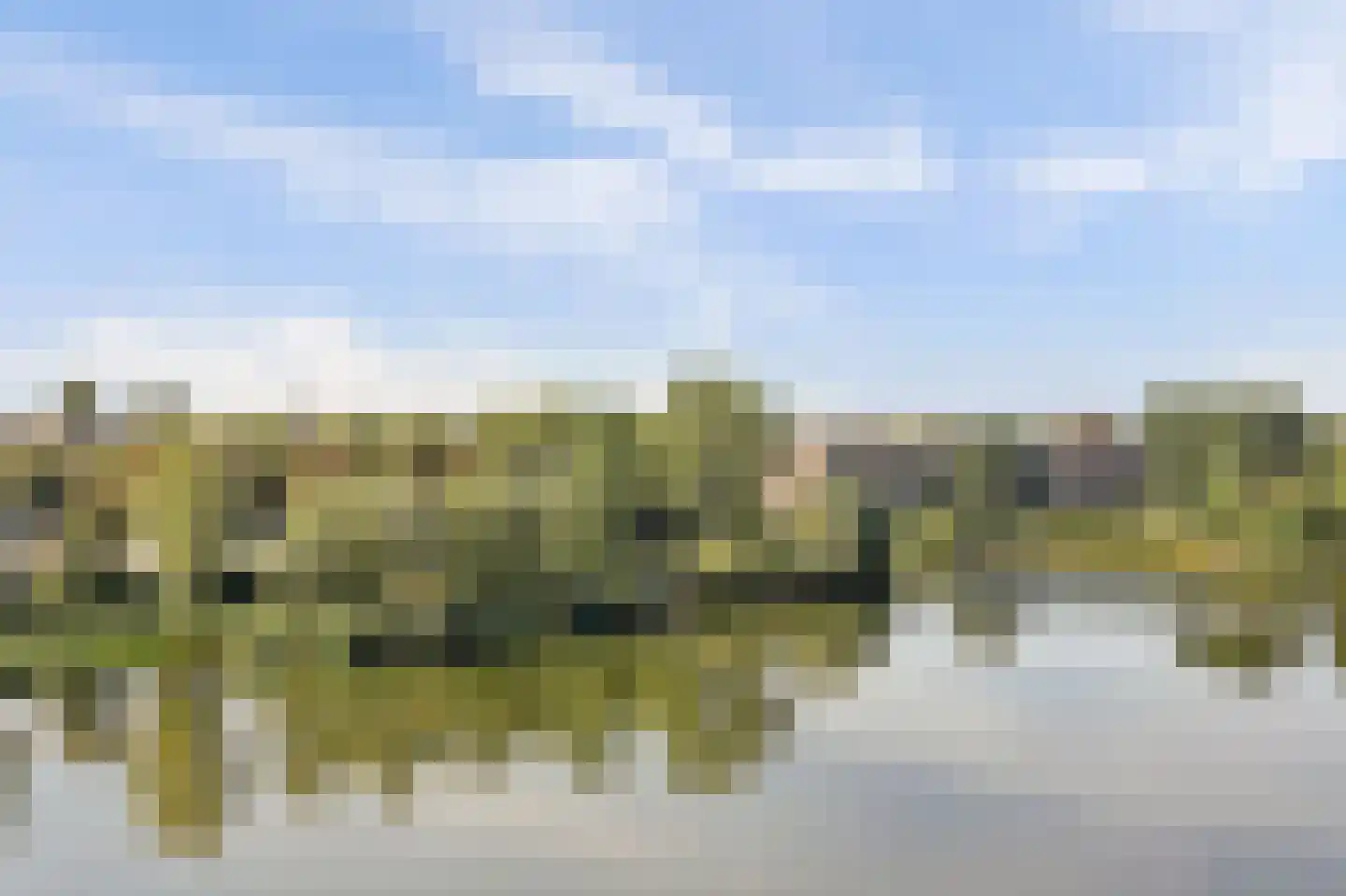 Bosboompad 53 Rosmalen thumbnail 31