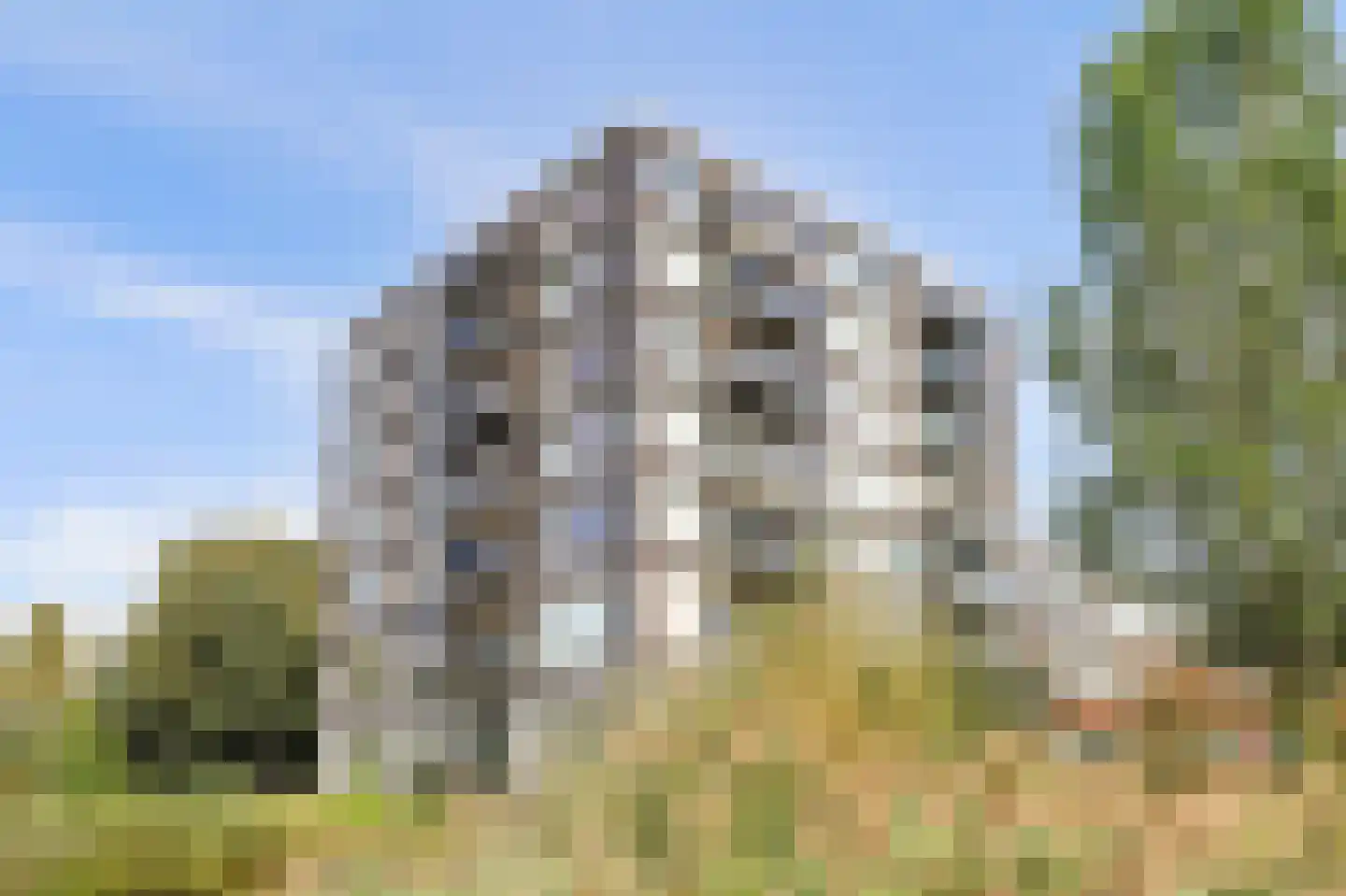 Bosboompad 53 Rosmalen thumbnail 33