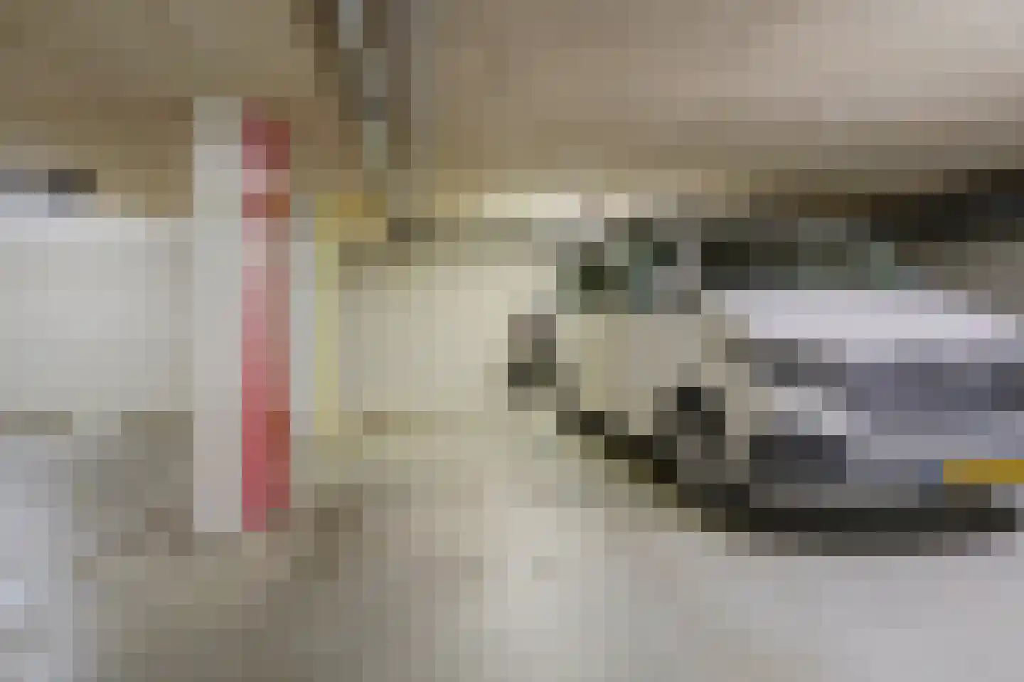 Bosboompad 53 Rosmalen thumbnail 37