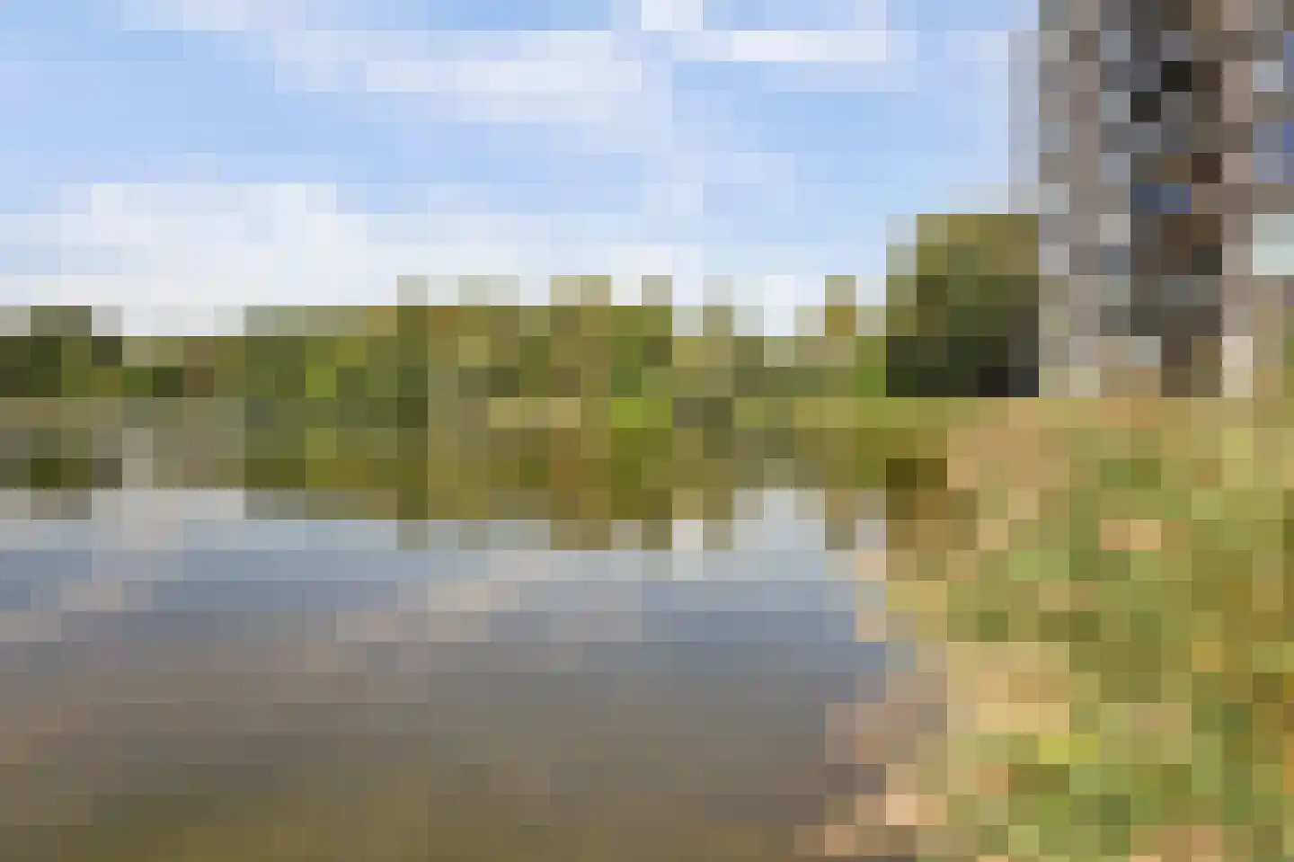 Bosboompad 53 Rosmalen thumbnail 39