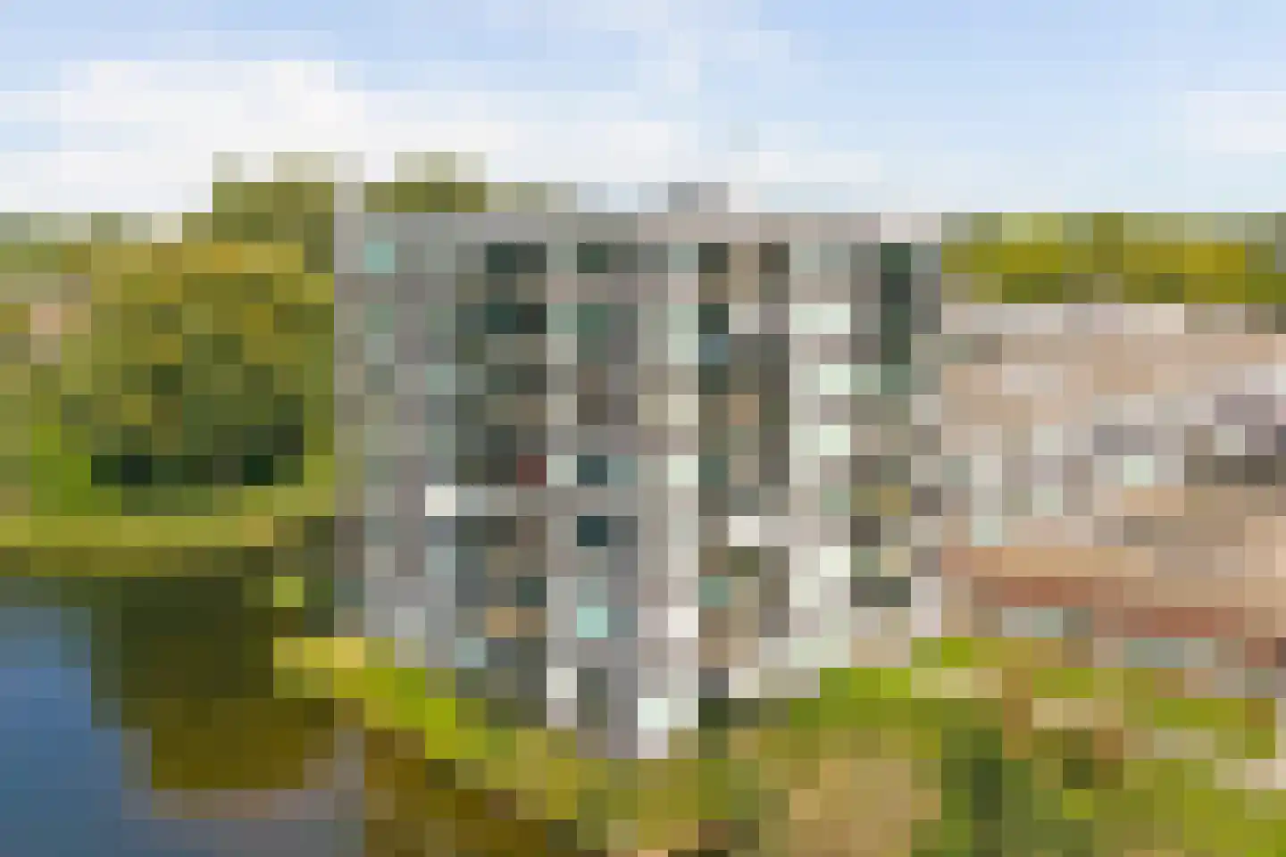 Bosboompad 53 Rosmalen thumbnail 41