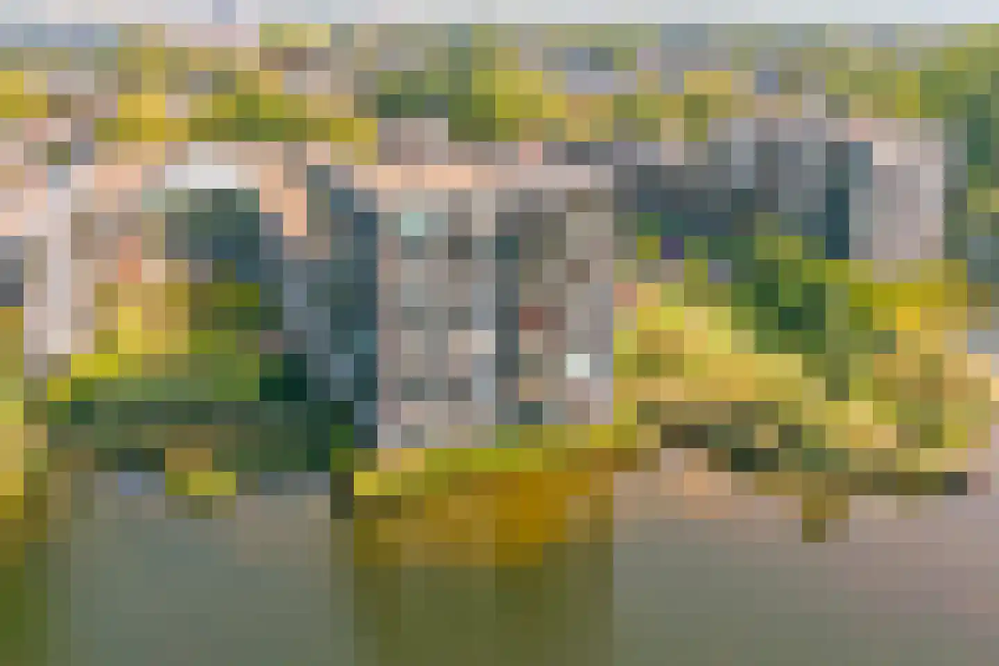Bosboompad 53 Rosmalen thumbnail 43