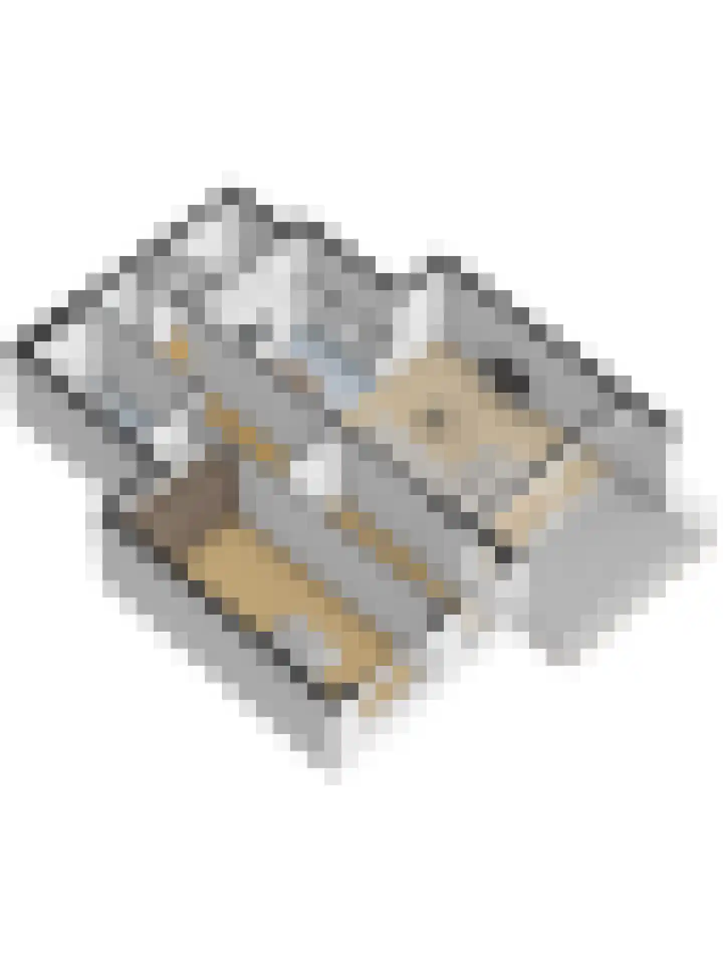Bosboompad 53 Rosmalen thumbnail 47