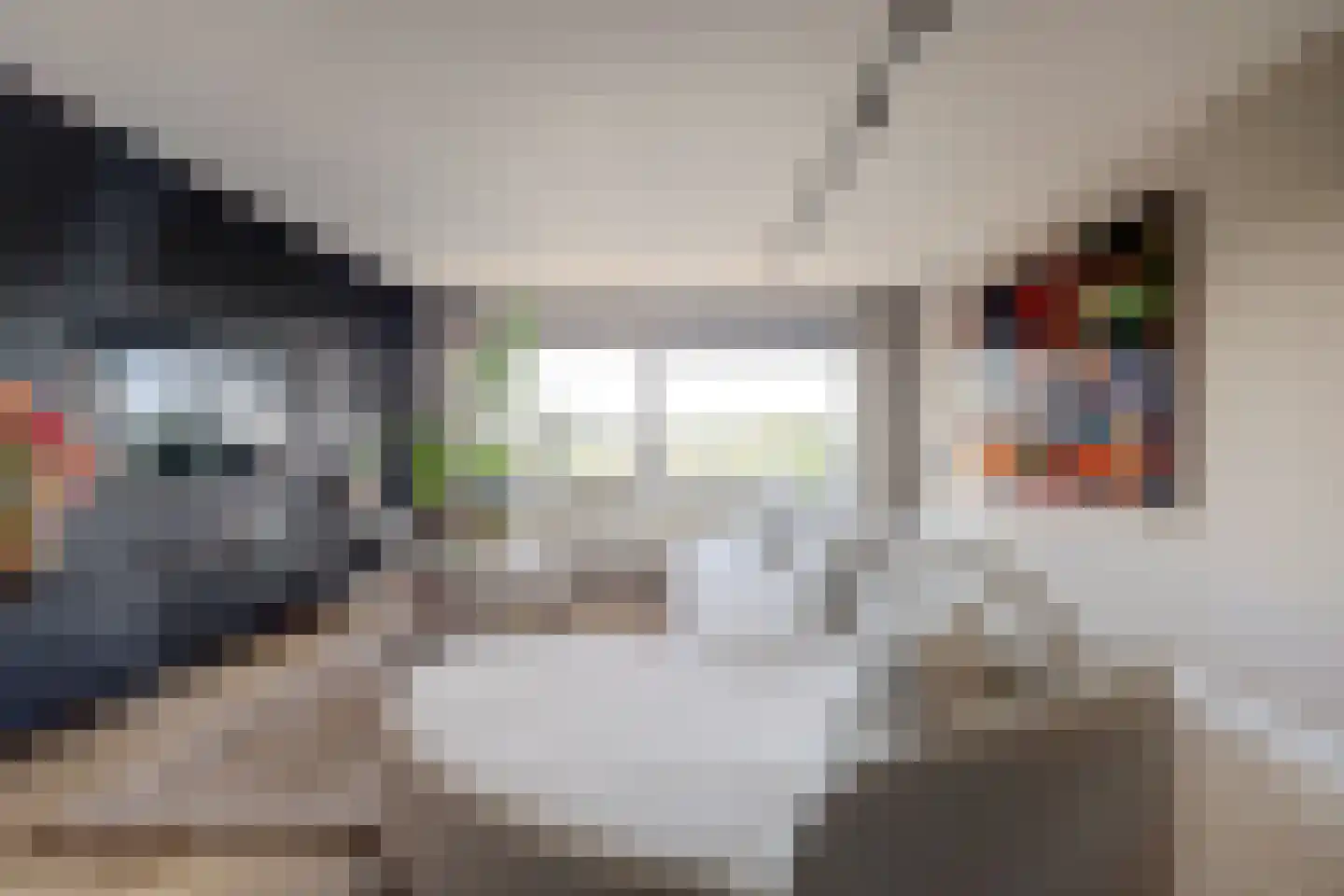 Bosboompad 53 Rosmalen thumbnail 5