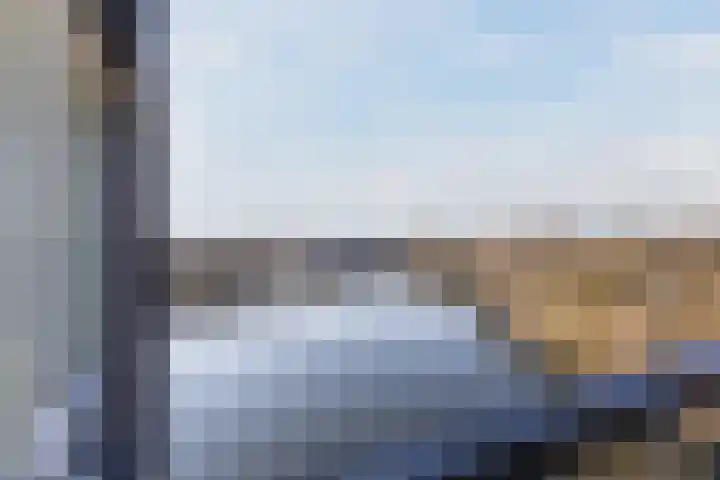 Bosboompad 55 Rosmalen thumbnail 22