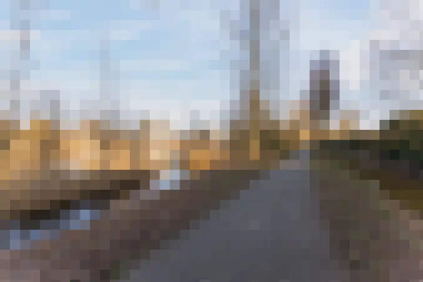 Bosboompad 55 Rosmalen thumbnail 23