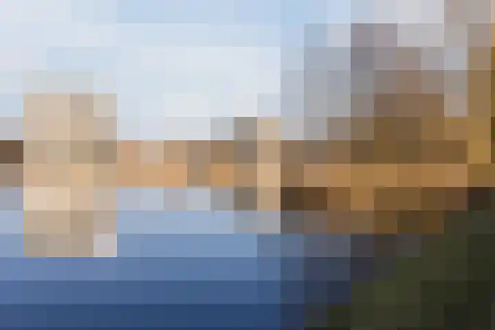 Bosboompad 55 Rosmalen thumbnail 27