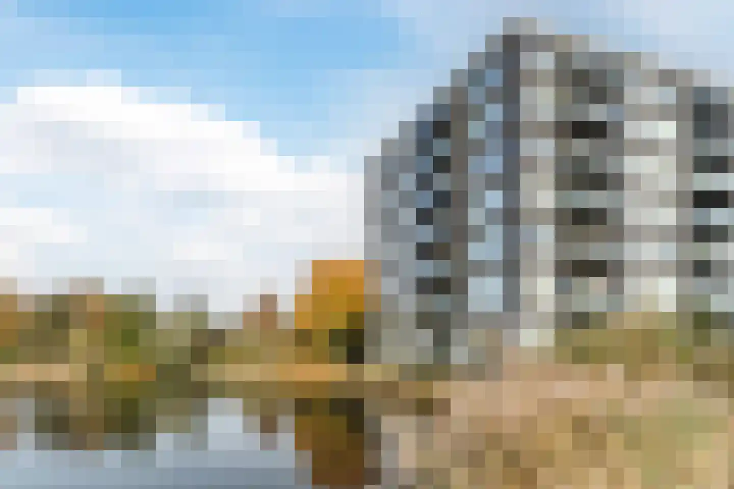 Bosboompad 55 Rosmalen thumbnail 34