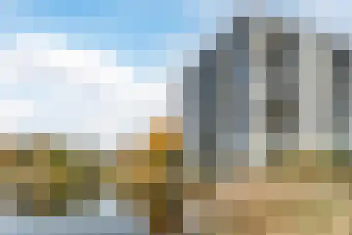 Bosboompad 55 Rosmalen thumbnail 34