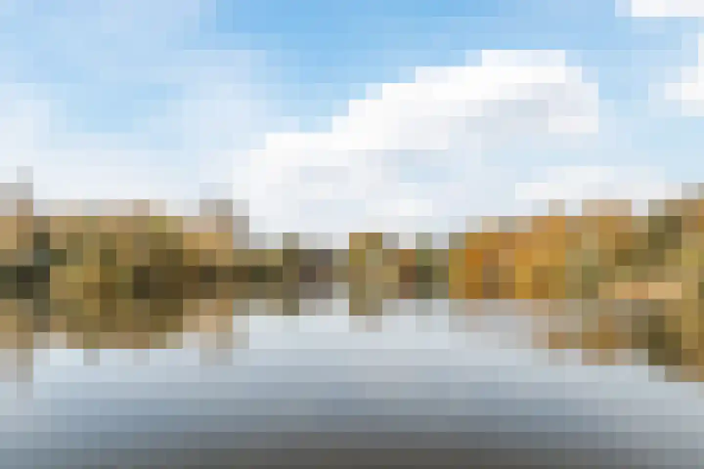 Bosboompad 55 Rosmalen thumbnail 35