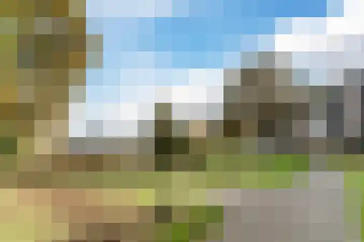 Bosboompad 55 Rosmalen thumbnail 38