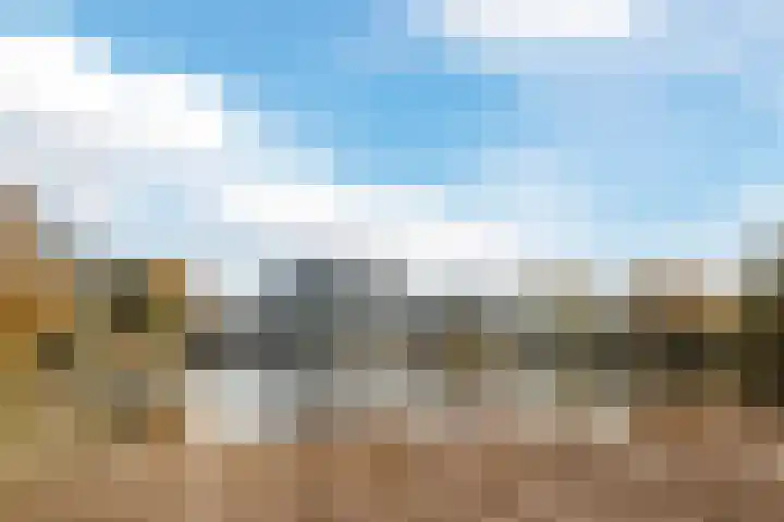Bosboompad 55 Rosmalen thumbnail 39