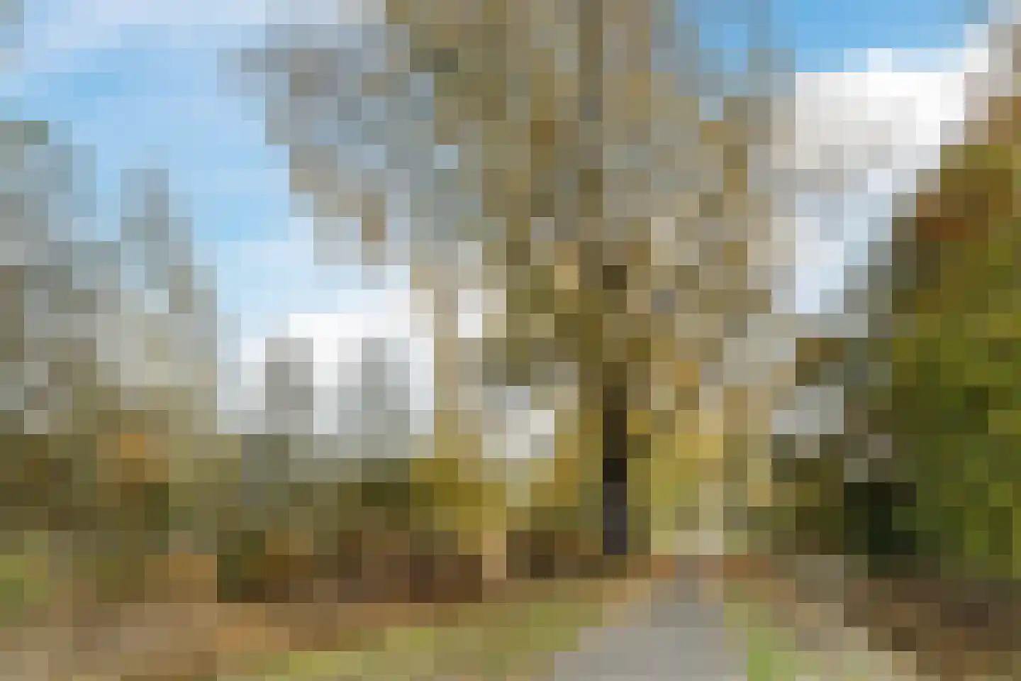 Bosboompad 55 Rosmalen thumbnail 41