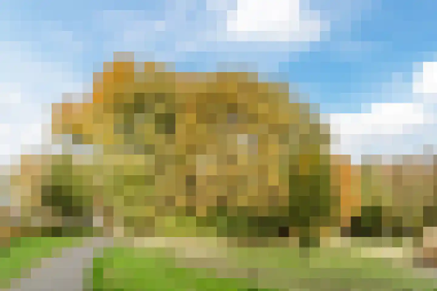 Bosboompad 55 Rosmalen thumbnail 42