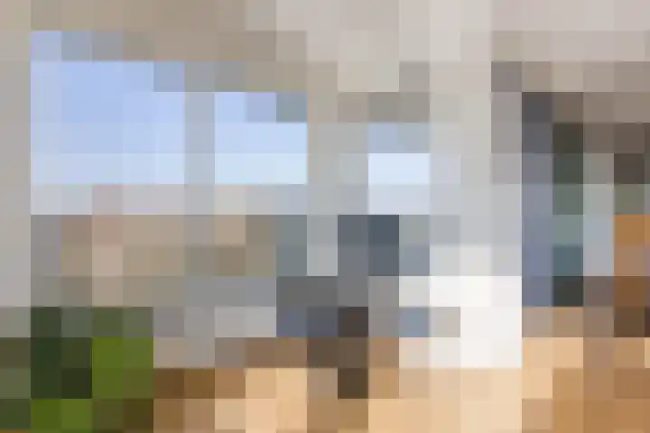 Bosboompad 55 Rosmalen thumbnail 7