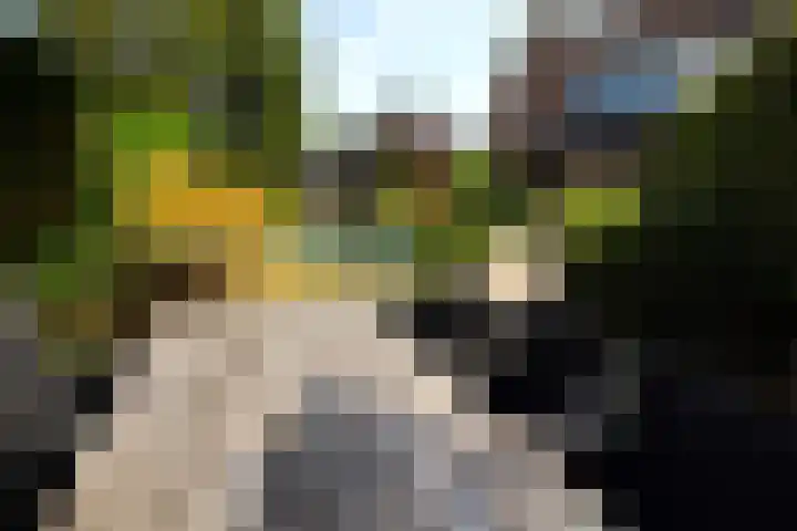 Bosboomplantsoen 44 Oosterhout thumbnail 14