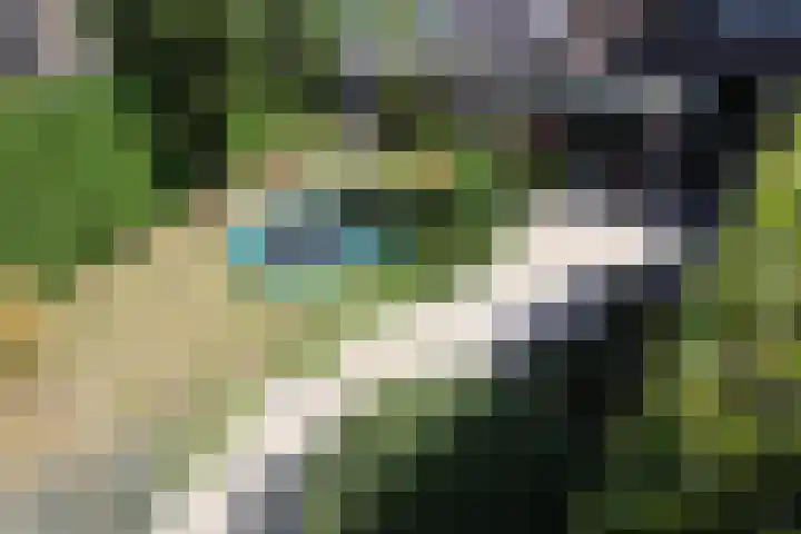 Bosboomplantsoen 44 Oosterhout thumbnail 19