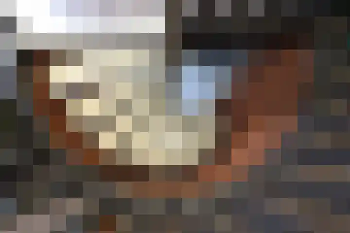 Bosboomplantsoen 44 Oosterhout thumbnail 29