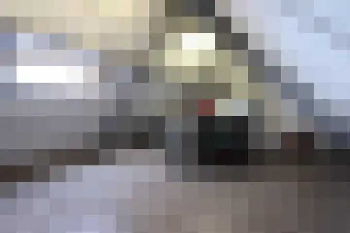Bosboomplantsoen 44 Oosterhout thumbnail 30