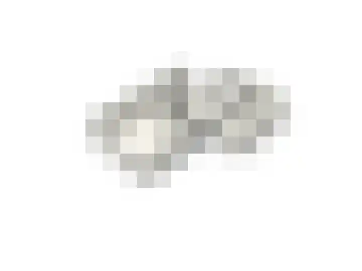 Bosboomplantsoen 44 Oosterhout thumbnail 45