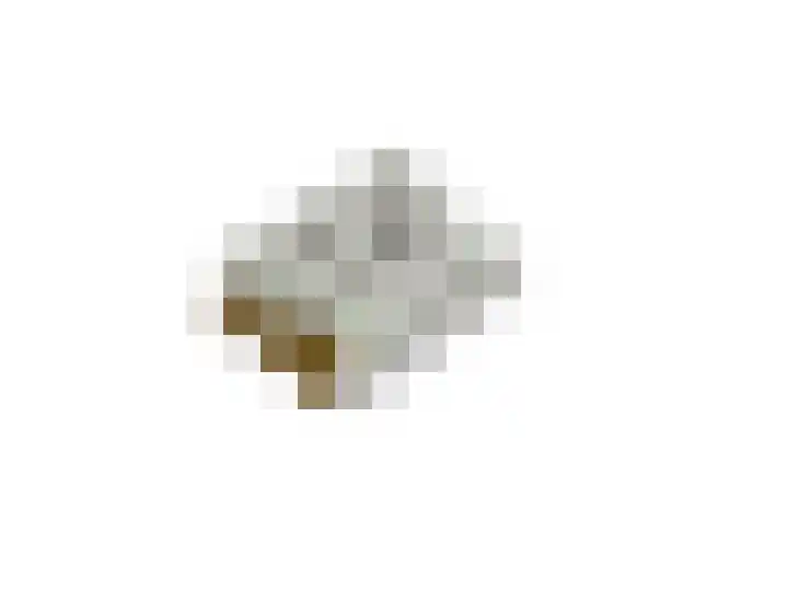 Bosboomplantsoen 44 Oosterhout thumbnail 46