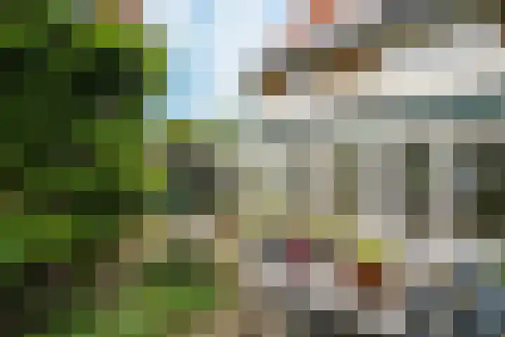 Bosboomstraat 1 Arnhem thumbnail 36