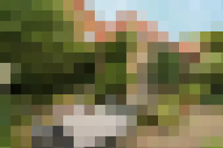 Bosboomstraat 1 Arnhem thumbnail 37