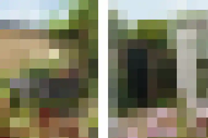 Bosboomstraat 1 Arnhem thumbnail 39