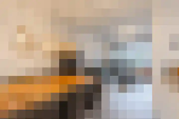 Bosboomstraat 14 Dongen thumbnail 14