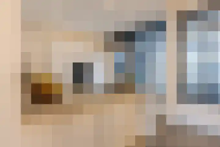 Bosboomstraat 14 Dongen thumbnail 15