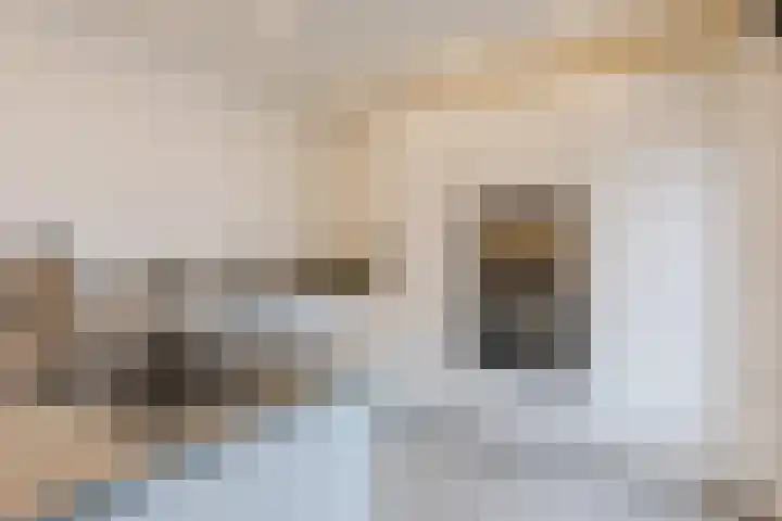 Bosboomstraat 14 Dongen thumbnail 16