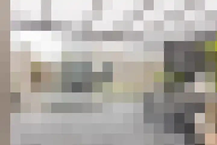 Bosboomstraat 14 Dongen thumbnail 17