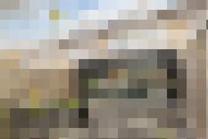 Bosboomstraat 14 Dongen thumbnail 18
