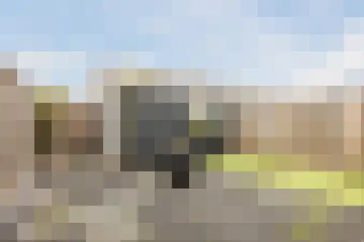 Bosboomstraat 14 Dongen thumbnail 19